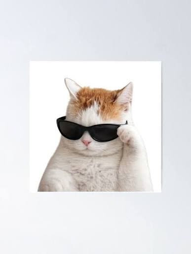 888
